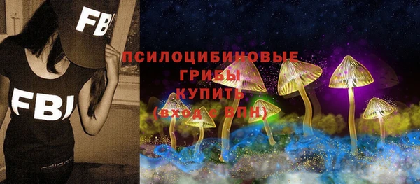 МДПВ Армянск