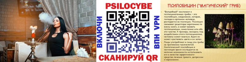 Галлюциногенные грибы Psilocybe  Балашов 