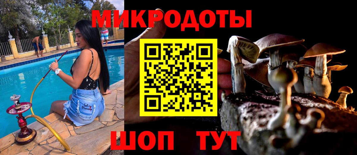 Галлюциногенные грибы Psilocybe  Вход с VPN  Балашов 