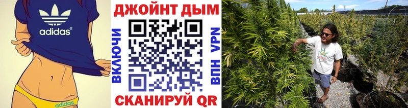 Бошки марихуана семена Балашов